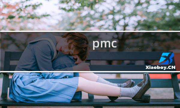 pmc 功能指令
