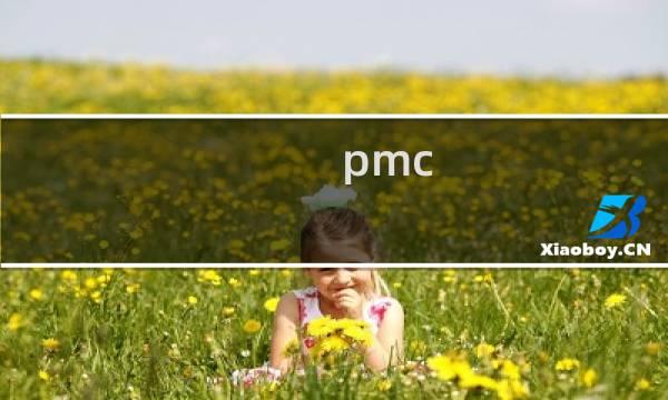 pmc 啥意思