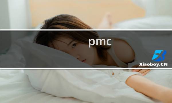 pmc 接口标准