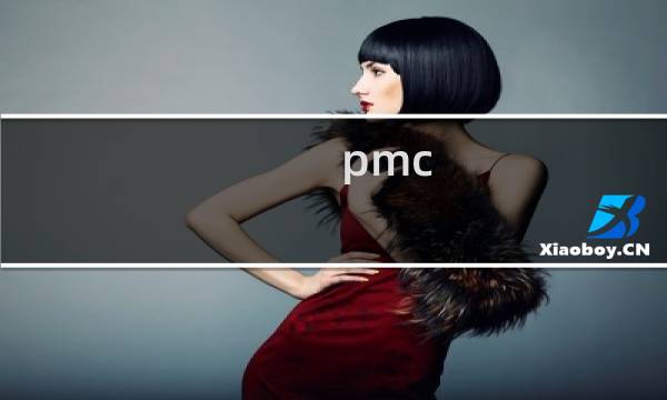 pmc 无经验