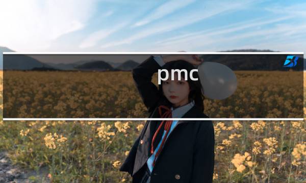 pmc 是什么岗位