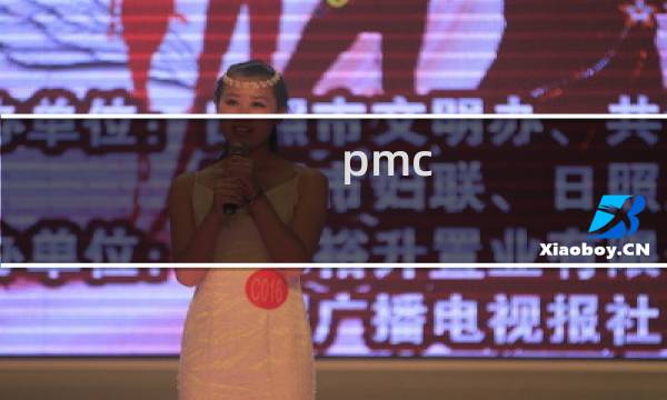 pmc 是做什么