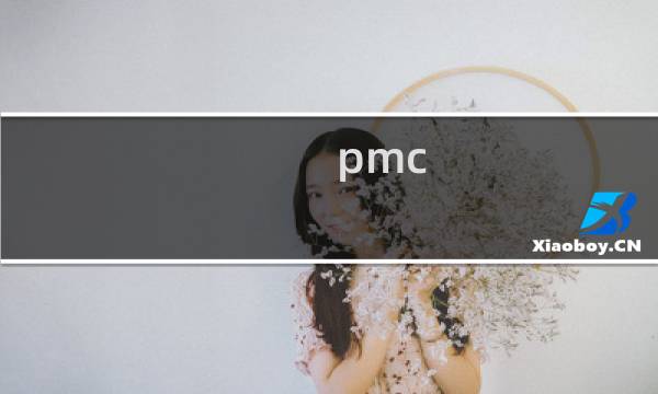pmc 是干嘛的
