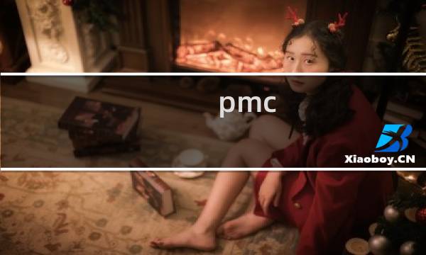 pmc 是监理吗