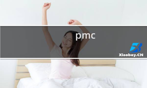 pmc 物料控制职责