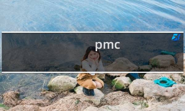 pmc 经理知识架构