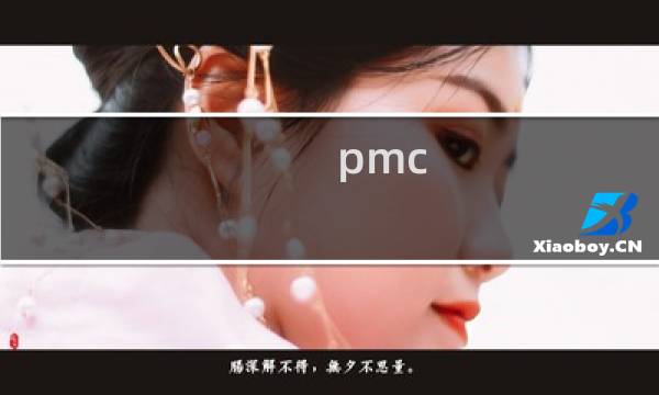 pmc 训练模式
