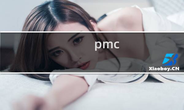 pmc 述职介绍