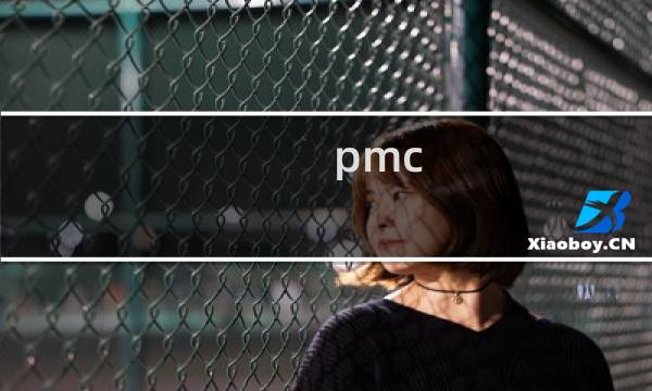 pmc erp教程