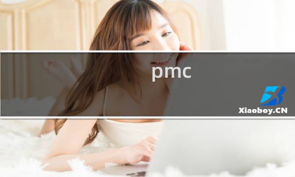 pmc erp系统操作
