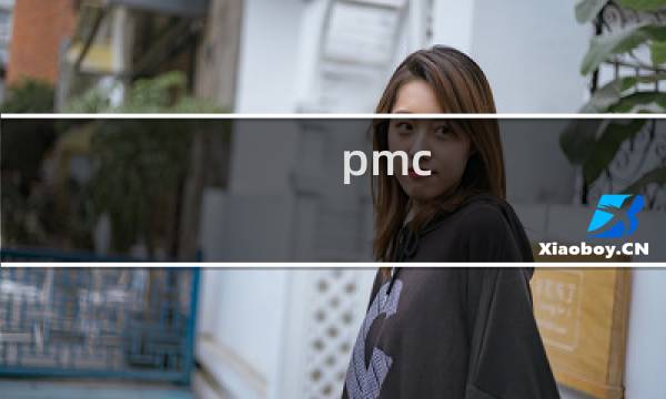 pmc mes区别