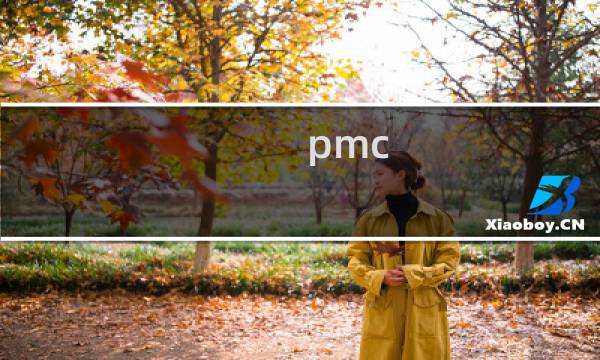 pmc plm区别