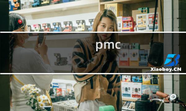pmc pubmed的区别