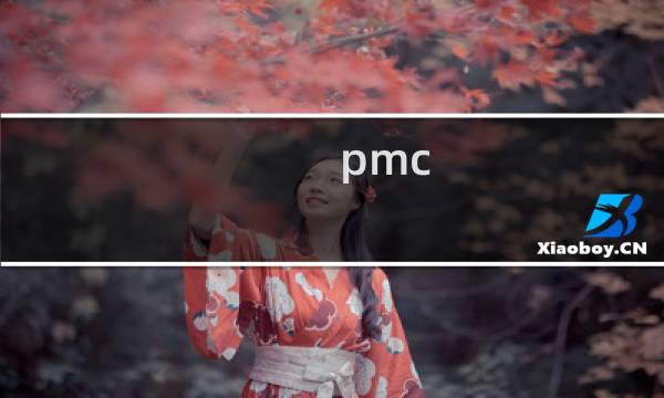 pmc swot 分析