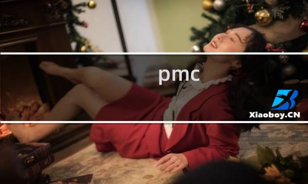 pmc swot分析矩阵