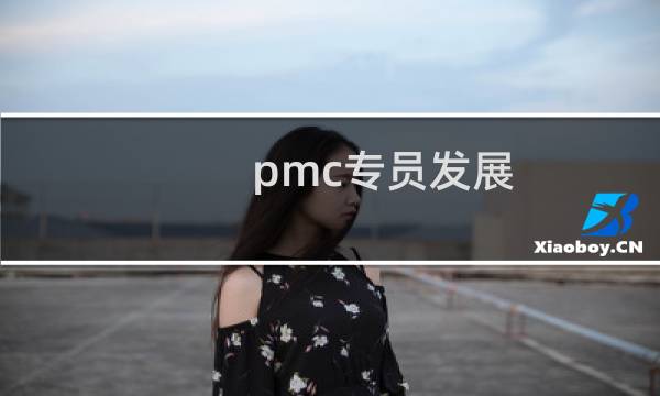 pmc专员发展