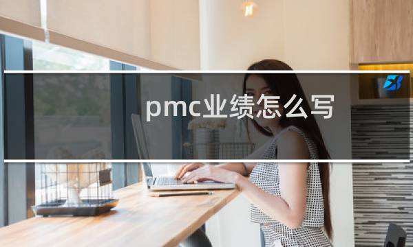 pmc业绩怎么写