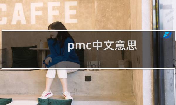pmc中文意思