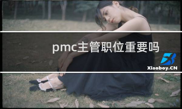 pmc主管职位重要吗