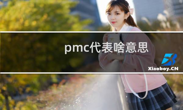 pmc代表啥意思