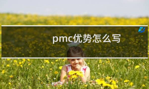 pmc优势怎么写