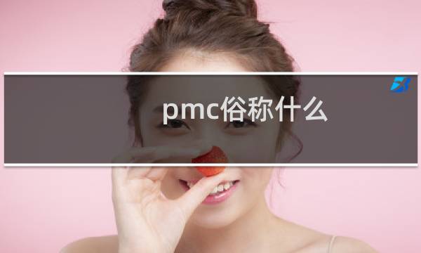pmc俗称什么
