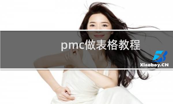pmc做表格教程