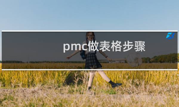 pmc做表格步骤