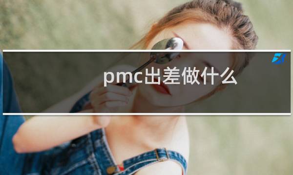 pmc出差做什么