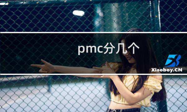 pmc分几个