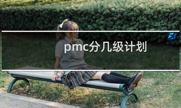 pmc分几级计划