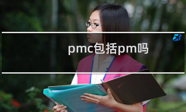 pmc包括pm吗