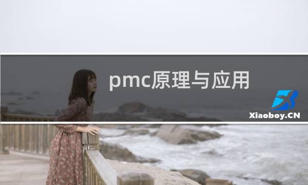 pmc原理与应用