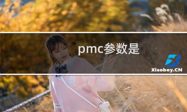 pmc参数是