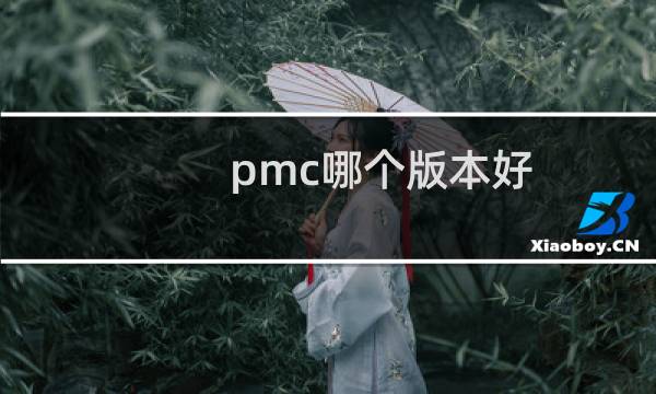 pmc哪个版本好