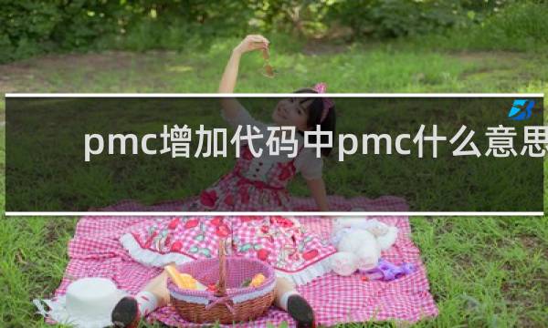 pmc增加代码中pmc什么意思