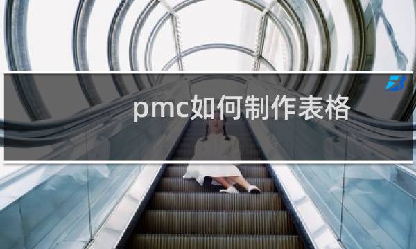 pmc如何制作表格