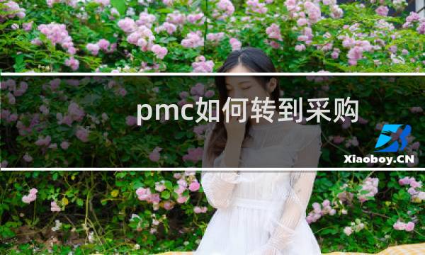 pmc如何转到采购