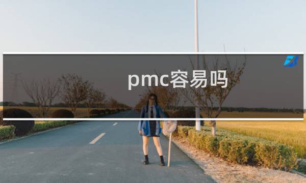 pmc容易吗