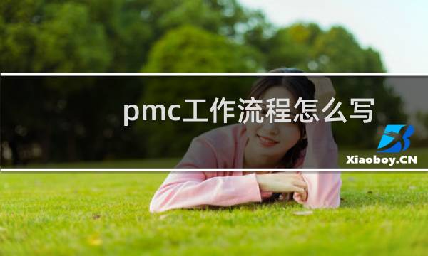 pmc工作流程怎么写