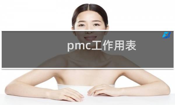 pmc工作用表