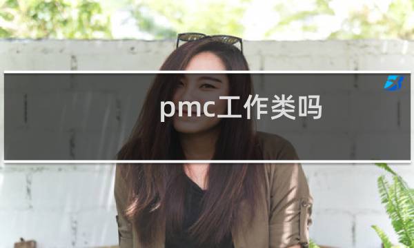 pmc工作类吗