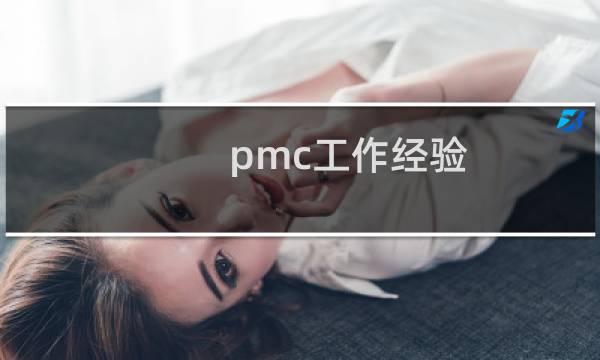 pmc工作经验
