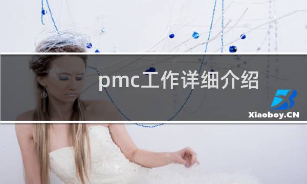 pmc工作详细介绍