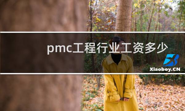 pmc工程行业工资多少