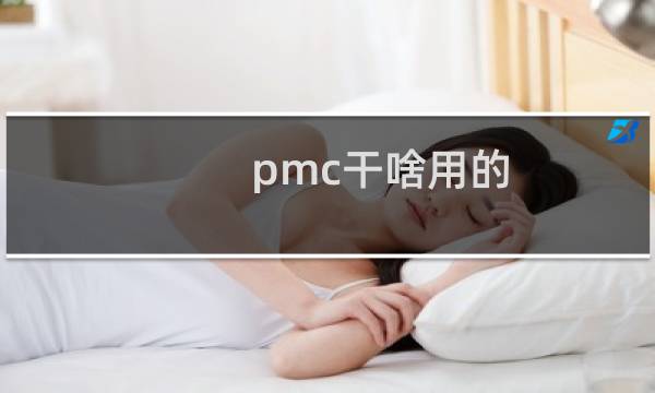 pmc干啥用的