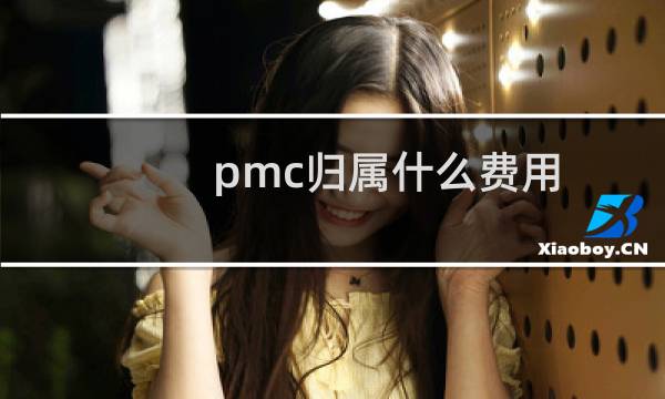 pmc归属什么费用