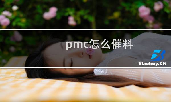 pmc怎么催料