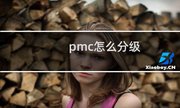 pmc怎么分级