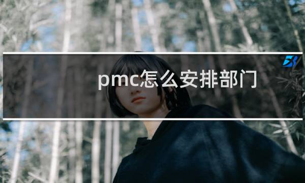 pmc怎么安排部门